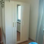 Mittendrin Zwischen Altstadt Und In