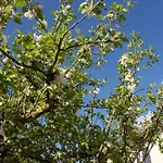 Mittendrin Zwischen Altstadt Und In
